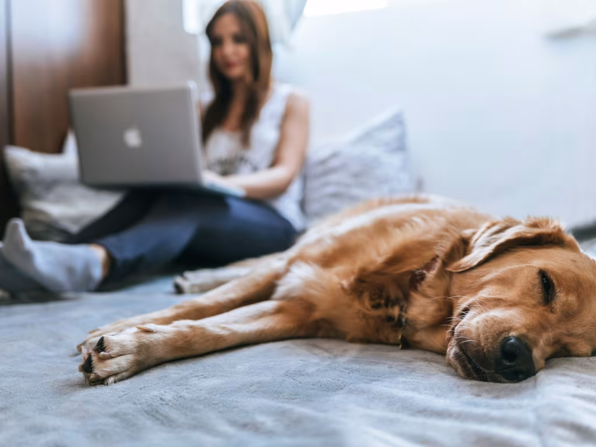 Mansons Newcastle rental pets
